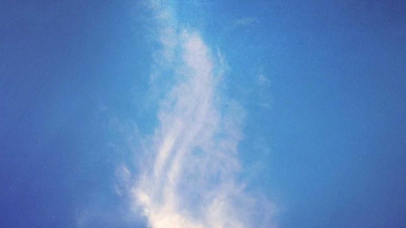 校园h - 青春记忆里的秘密花园
